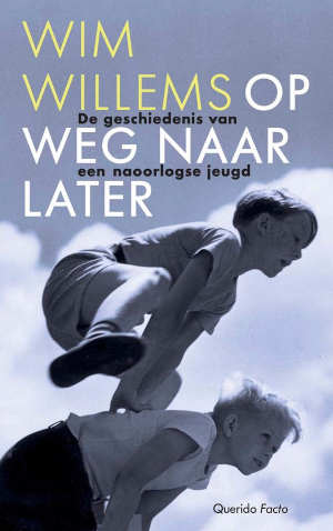 Wim Willems Op weg naar later Recensie