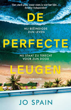 Jo Spain De perfecte leugen Recensie