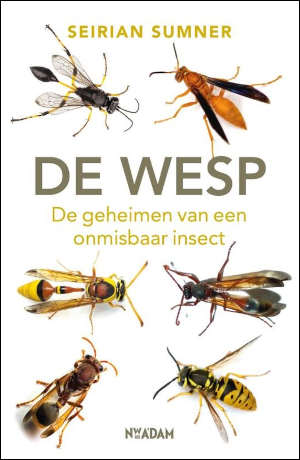 Seirian Sumner De wesp Recensie