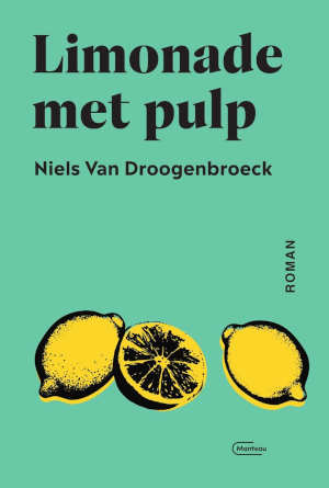 Niels Van Droogenbroeck Limonade met pulp Recensie