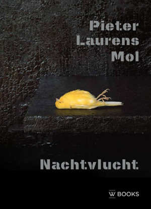 Pieter Laurens Mol - Nachtvlucht