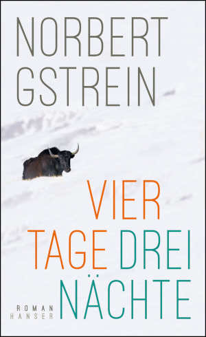 Norbert Gstrein Vier Tage, drei Nächte