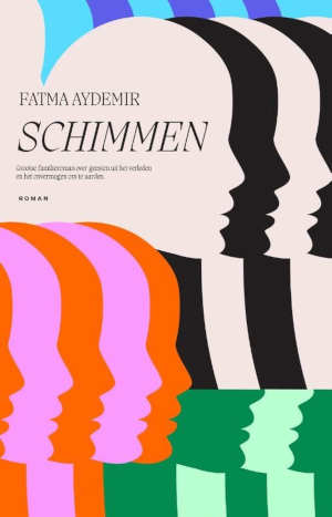 Fatma Aydemir Schimmen Recensie