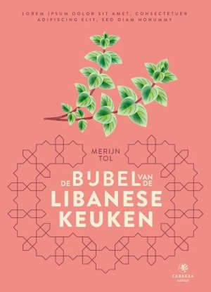 Merijn Tol De bijbel van de Libanese keuken Recensie