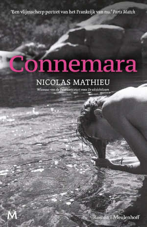 Nicolas Mathieu Connemara recensie