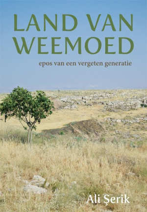 Ali Şerik Land van weemoed recensie