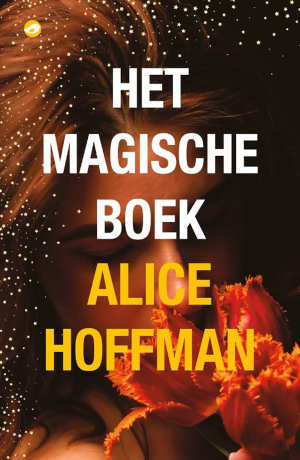 Alice Hoffman Het magische boek recensie