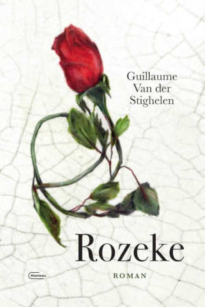 Guillaume Van der Stighelen Rozeke recensie