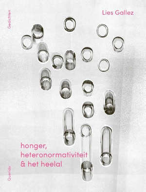 Lies Gallez honger, heteronormativiteit & het heelal recensie