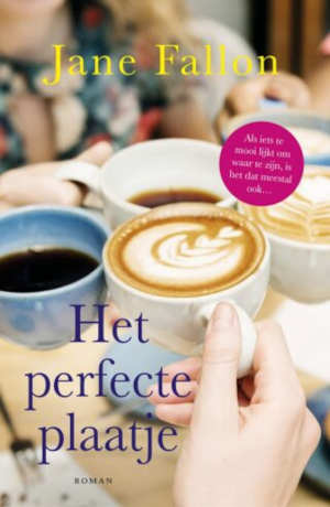 Jane Fallon Het perfecte plaatje recensie