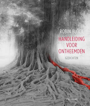 Robin Block Handleiding voor Ontheemden recensie