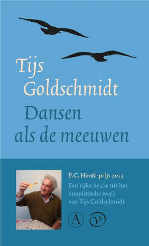 Tijs Goldschmidt Dansen als de meeuwen recensie