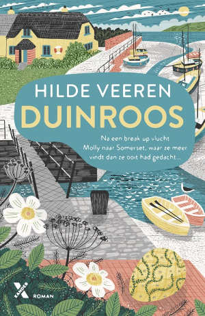 Hilde Veeren Duinroos recensie