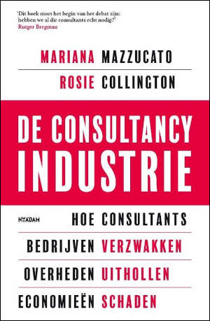 Mariana Mazzucato en Rosie Collington De consultancy industrie recensie