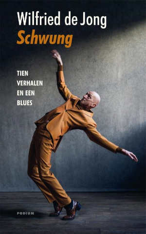 Wilfried de Jong Schwung recensie