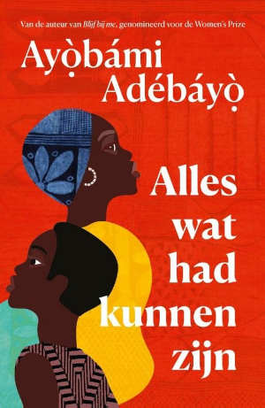 Ayobami Adebayo Alles wat had kunnen zijn recensie