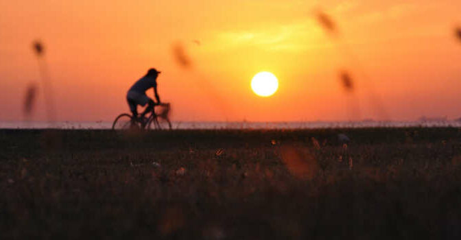 Nieuwe fietsgidsen en fietsboeken