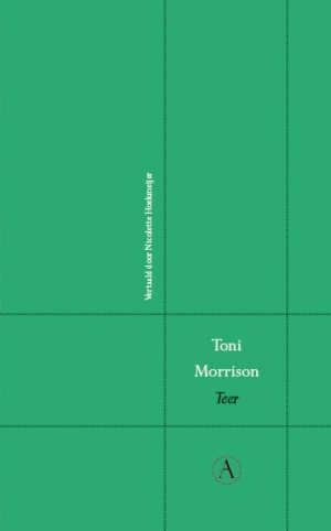 Toni Morrison Teer roman uit 1981