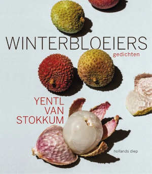 Yentl van Stokkum Winterbloeiers recensie