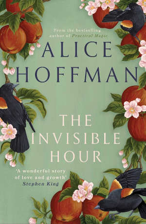 Alice Hoffman The Invisible Hour review