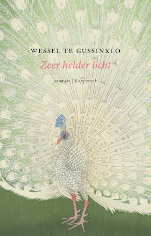 Wessel te Gussinklo Zeer helder licht.