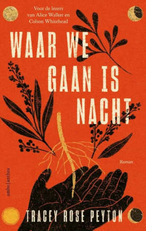 Tracey Rose Peyton Waar we gaan is nacht recensie