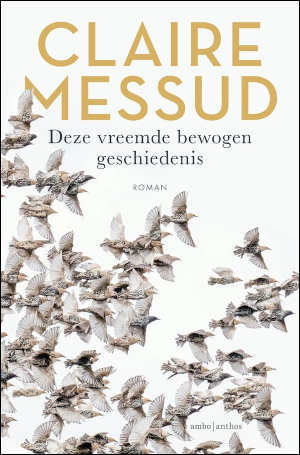 Claire Messud Deze vreemde bewogen geschiedenis recensie