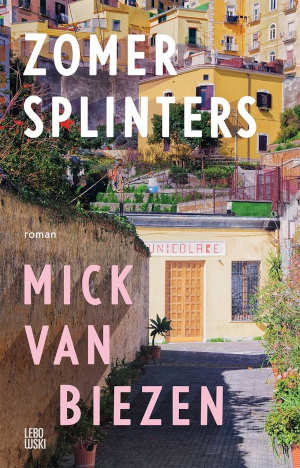 Mick van Biezen Zomersplinters recensie