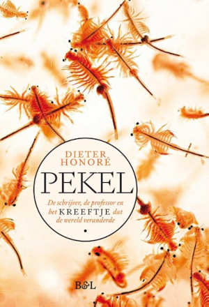 Dieter Honoré Pekel recensie