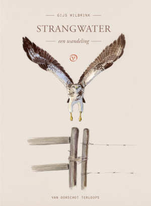 Gijs Wilbrink Strangwater recensie