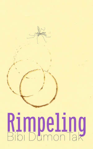 Bibi Dumon Tak Rimpeling recensie
