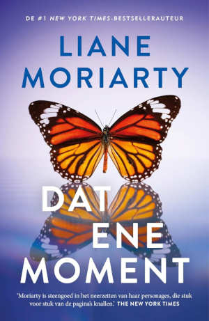 Liane Moriarty Dat ene moment recensie