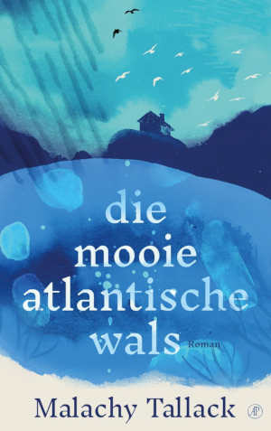 Malachy Tallack Die mooie Atlantische wals recensie