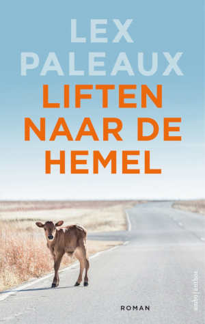 Lex Paleaux Liften naar de hemel recensie