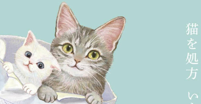 Syou Ishida – Een kat op recept