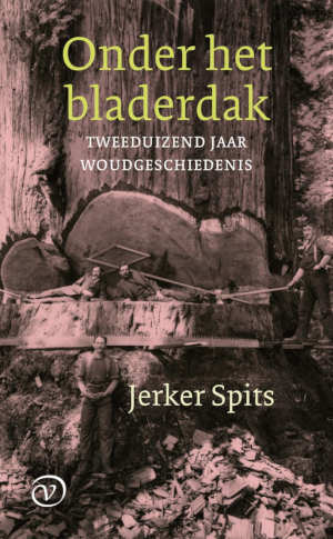 Jerker Spits Onder het bladerdak recensie