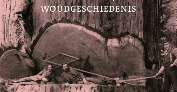 Jerker Spits – Onder het bladerdak