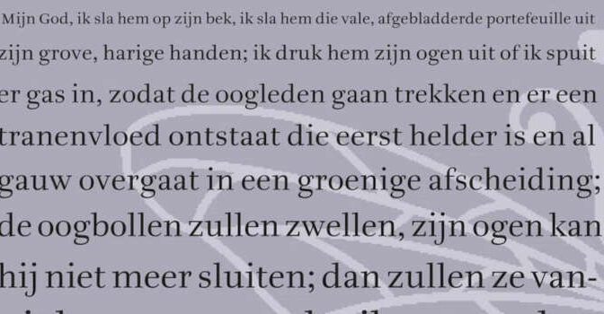 Jan Siebelink – Witte chrysanten