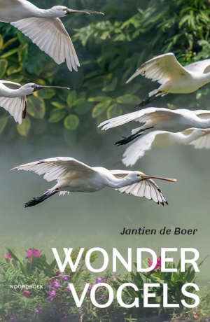 Jantien de Boer Wondervogels recensie