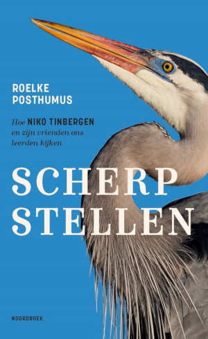 Roelke Posthumus Scherpstellen recensie