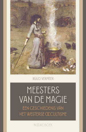 Ruud Vermeer Meesters van de magie recensie