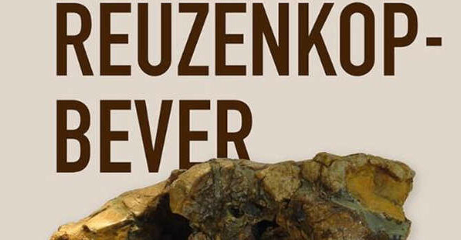 De reuzenkopbever