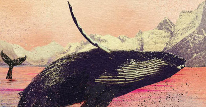 Petra Rautiainen – Het geheugen van de zee