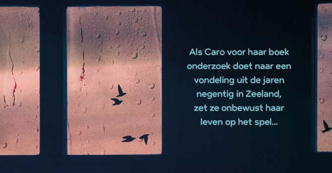 Shanna de Jong – Niets gezien