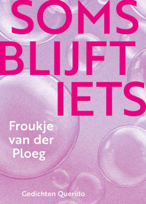 Froukje van der Ploeg Soms blijft iets recensie