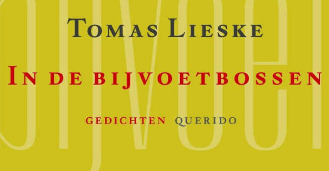 Tomas Lieske – In de bijvoetbossen