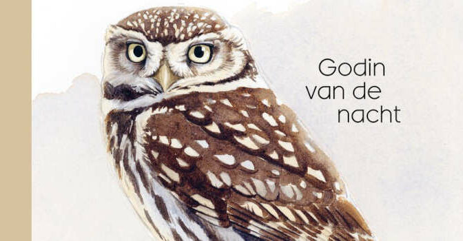 Dries van Nieuwenhuyse & Ronald van Harxen – Biografie van de steenuil