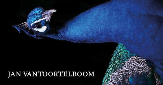 Jan Vantoortelboom – De zwarte poel