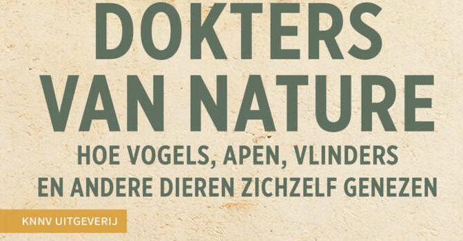 Jaap de Roode – Dokters van Nature