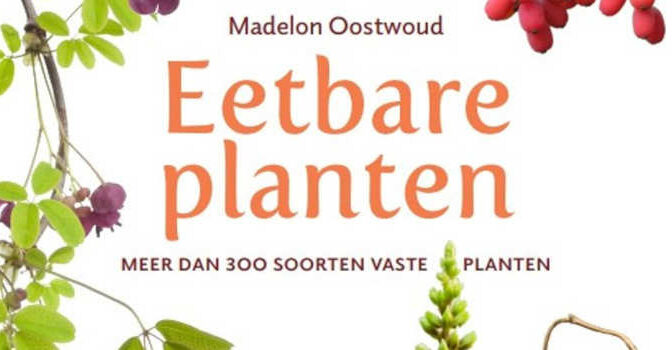 Madelon Oostwoud – Eetbare planten